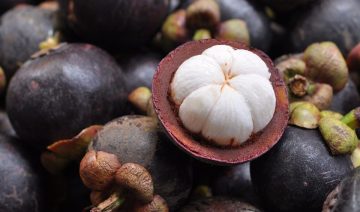 mangosteen gf2b6dadf4 1280 e1686322239497