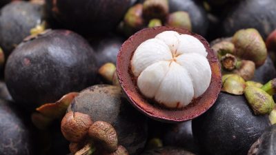 mangosteen gf2b6dadf4 1280 e1686322239497