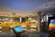 Animalium Cibinong, Destinasi Eduwisata Kekinian Milik BRIN 9 animalium e1734269701737