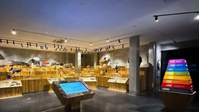 animalium e1734269701737