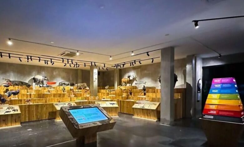 Animalium Cibinong, Destinasi Eduwisata Kekinian Milik BRIN 7 animalium e1734269701737