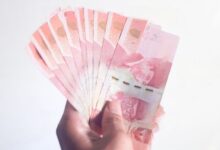 istockphoto 1401448195 1024x1024 transformed e1734274416262