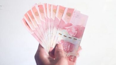 istockphoto 1401448195 1024x1024 transformed e1734274416262