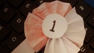 pin fina e1734365978591