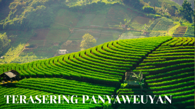 Teraseeing Panyaweuyan edit e1694258321719