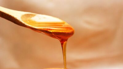 honey 1970570 1280 e1738251674649