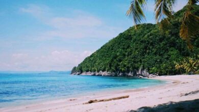 base g e1734618765211