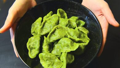 20231209 020146 e1734447352615