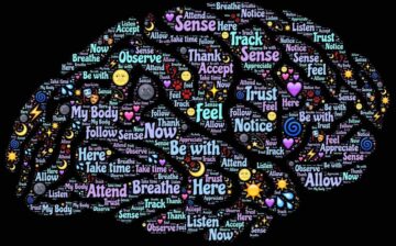 brain 998994 1280 e1702219945245