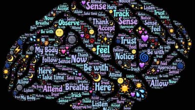 brain 998994 1280 e1702219945245