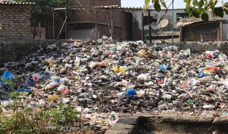 Punya Rumah Dekat Tempat Pembuangan Sampah, 3 Masalah ini Bikin Nggak Betah