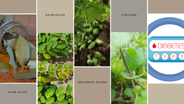 Daun Kelor