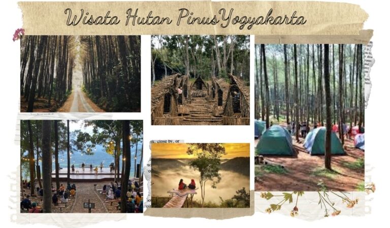 7 Tempat Wisata Hutan Pinus di Yogyakarta Terkini, Selalu Bikin Kangen!