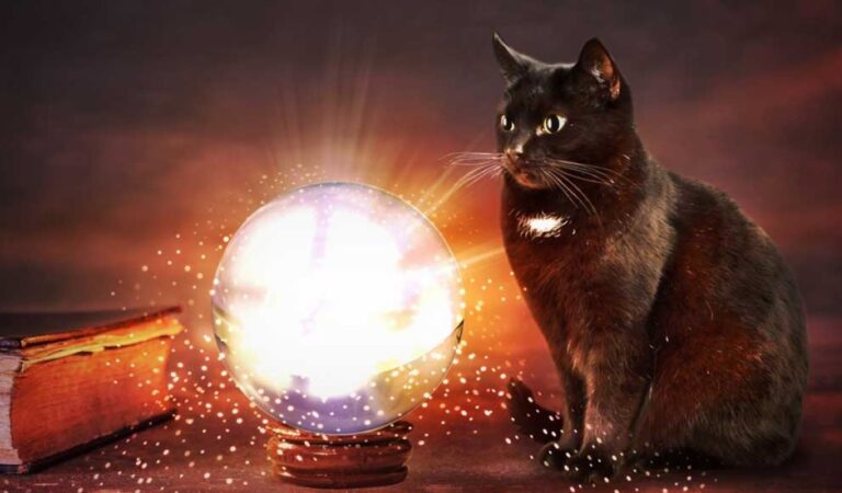 Siapa Sangka, 6 Takhayul Ini Benar-benar Ada di Jepang!