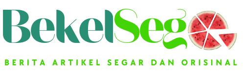 BekelSego