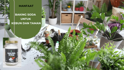 8 Tips Menjadi Penulis Artikel yang Sukses 12