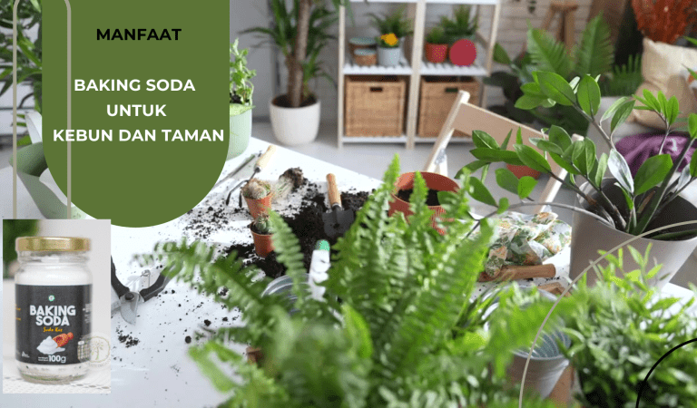 Tidak Hanya Buat Makanan, Berikut 10 Manfaat Baking Soda Untuk Kebun dan Taman