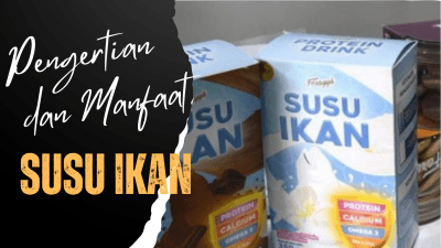 8 Tips Menjadi Penulis Artikel yang Sukses 18