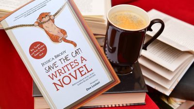 Metode Menulis Save The Cat
