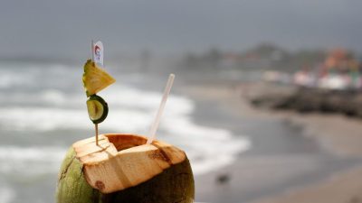 coconut 2791979 1280 e1727795674472