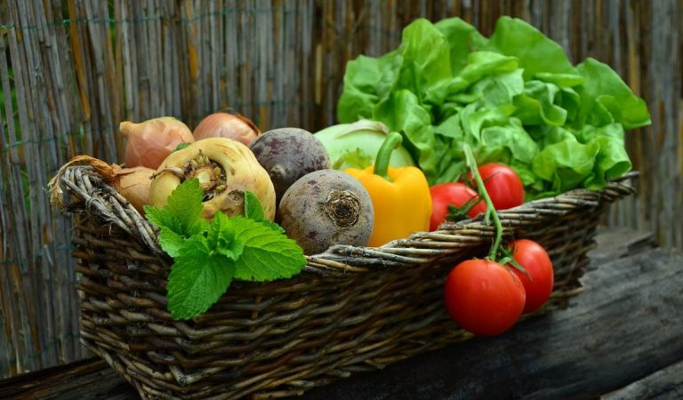 Cepat Panen! 7 Tanaman Buah dan Sayur Ini Cocok Untuk Anda yang Ingin Mulai Berkebun