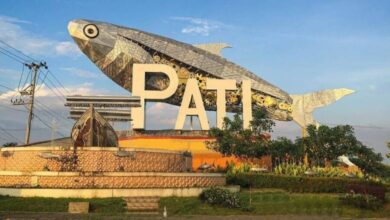 3927524504 e1734622554719