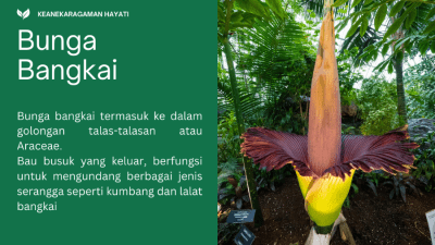 8 Tips Menjadi Penulis Artikel yang Sukses 75 1
