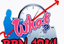 PPN NAIK 12 e1734621179328