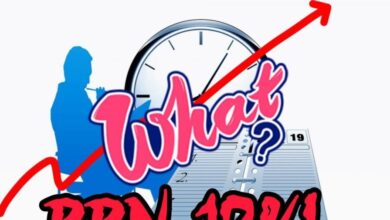 PPN NAIK 12 e1734621179328