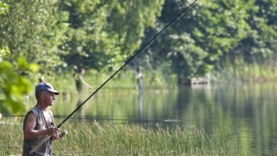 fishing 3576122 1280 e1734011933587