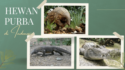 hewan purba di Indonesia