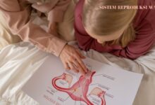 Ilustrasi belajar sistem reproduksi wanita