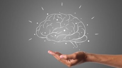 brain 4961452 1280 e1734797953843