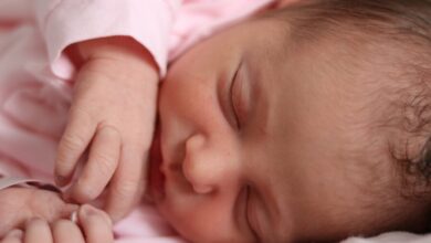 child 1381471 1280 e1735572805961