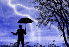 rain 5364590 1280 e1734593508426