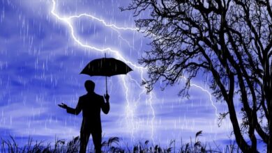 rain 5364590 1280 e1734593508426