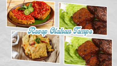 Olahan Tempe