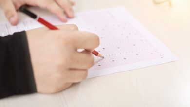 omr 3723130 1280 e1736482620433