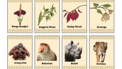 Keanekaragaman hayati di Indonesia e1740643071746