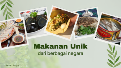 Makanan Unik dari berbagai negara