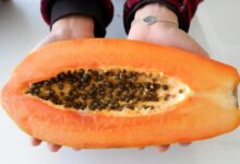 papaya 4793215 1280 e1739800434206