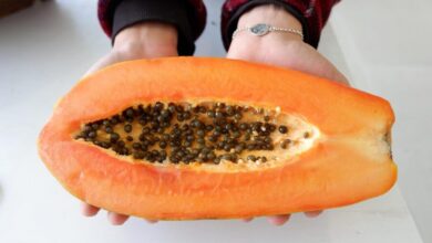 papaya 4793215 1280 e1739800434206