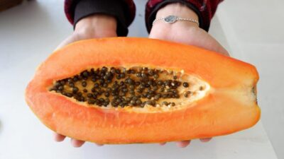 papaya 4793215 1280 e1739800434206