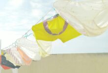 pexels chuanyu2015 209658 1597650 e1738422940419