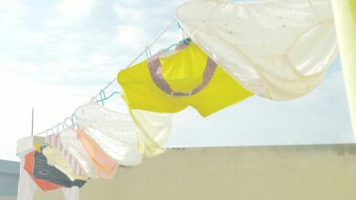 pexels chuanyu2015 209658 1597650 e1738422940419