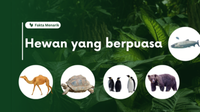 Hewan yang berpuasa