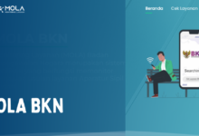 MOLA BKN, Aplikasi Canggih Untuk Monitoring Layanan Kepegawaian ASN 3 Mola BKN