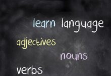 blackboard 2721887 1280 e1742739043481