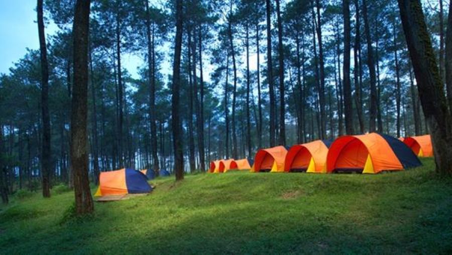 Grafika Cikole Camping Ground