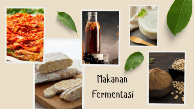 Makanan fermentasi untuk kesehatan otak